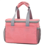 Insulated lunch Bag