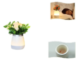 Rose Potted Lantern