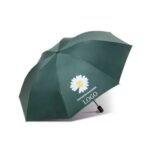 Fully Automatic Sun And Rain Umbrella