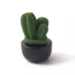 Succulent Aroma