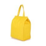 Cooler Bag
