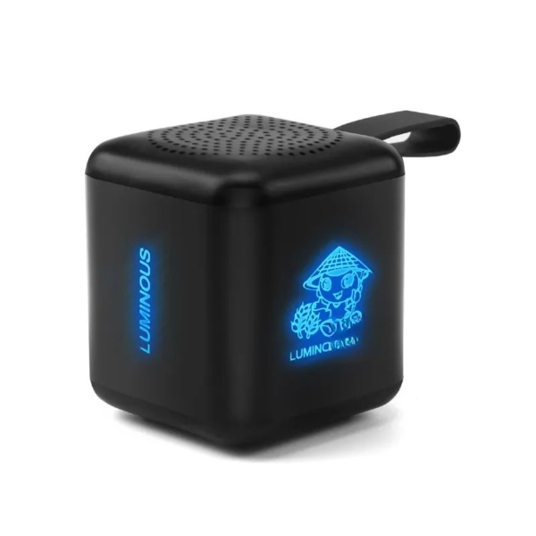 Portable Wireless speaker