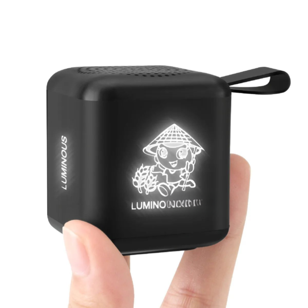 Portable Wireless speaker
