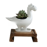 Home Decoration Flower Pots