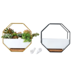 Home Decoration Flower Pots