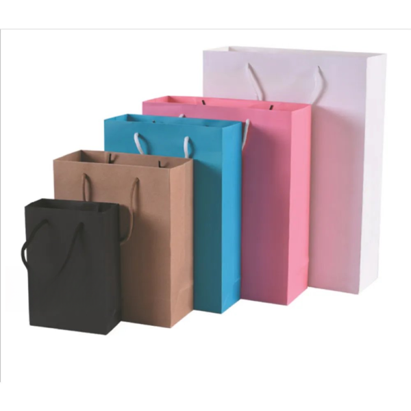 Paper Gift Bag