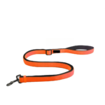 Dog Leash