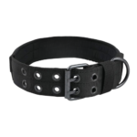 Medium and Large Nylon Dog Collar