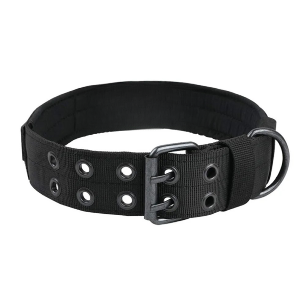 Medium and Large Nylon Dog Collar
