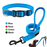 Dog Collar