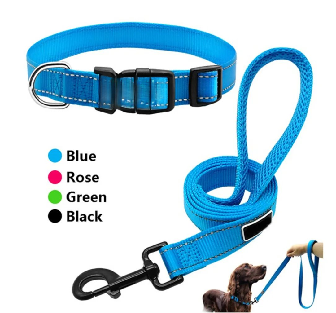 GP013493_44210_1_16069 Dog Collar