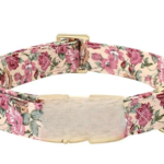 Stylish Pet Collar