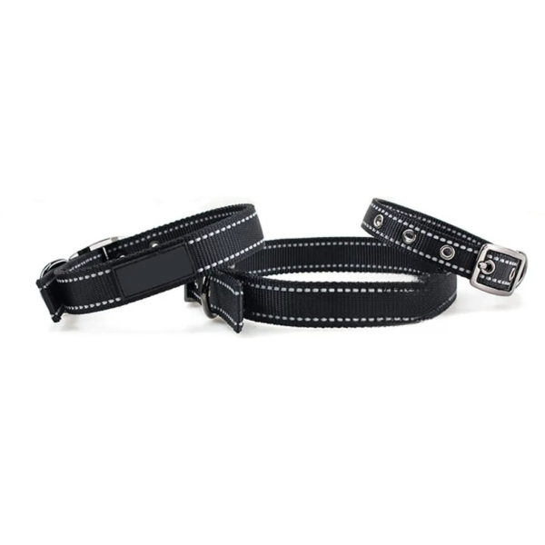 Reflective Nylon Collar